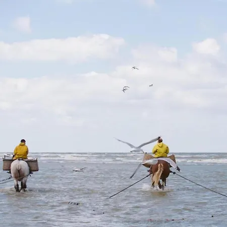 In Near Sint-andre Beach, Cleaning Included * Coxyde