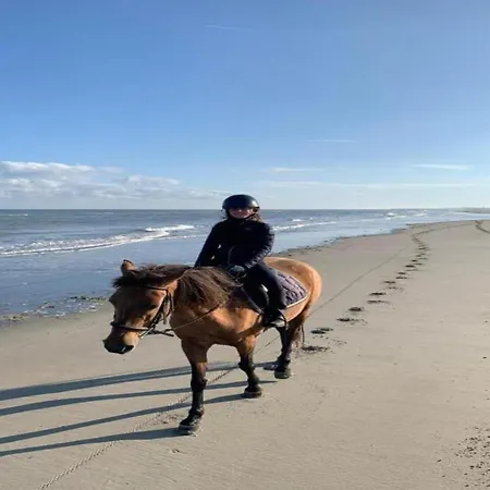 Hébergement de vacances In Near Sint-andre Beach, Cleaning Included Coxyde